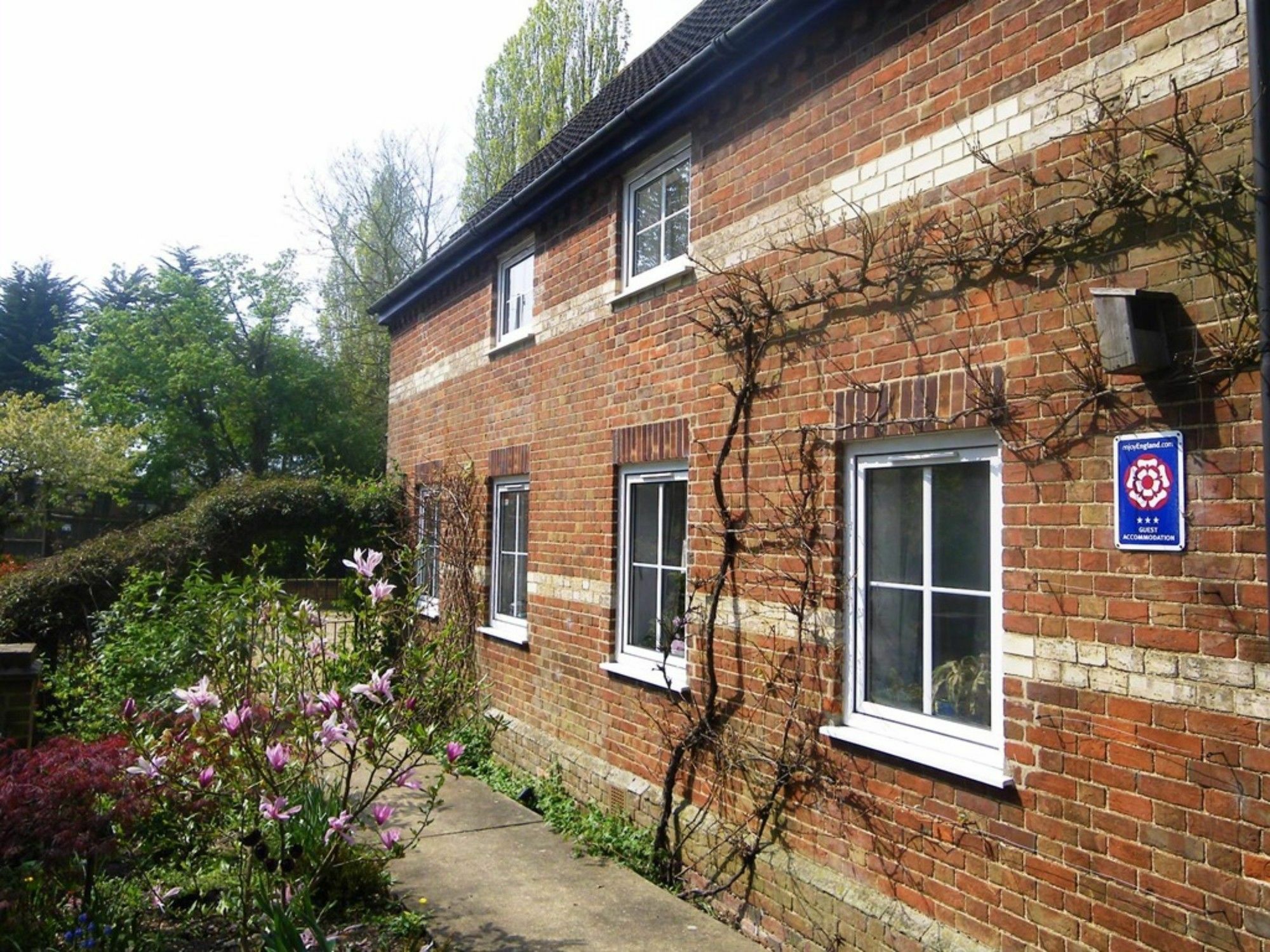 South Norfolk Guest House Great Moulton エクステリア 写真